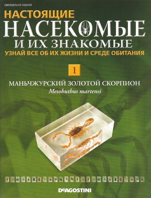 Насекомые и их знакомые рисунки