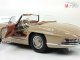     300 SL Roadster (Minichamps)