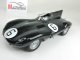     D-Type,     1955  (Autoart)