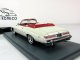     Le Sabre 2d  1974,  (Neo Scale Models)