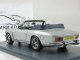      SIII (Neo Scale Models)