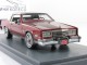     Eldorado Biarritz (Neo Scale Models)