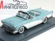      Convertible (Neo Scale Models)