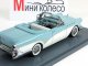      Convertible (Neo Scale Models)