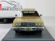     Town a Country 1976 (Neo Scale Models)