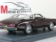     Grand Am Coupe (Neo Scale Models)