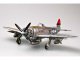    P-47D &quot;Thunderbolt&quot; (Trumpeter)