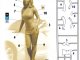      Dangerous Curves Series, Sloan - Vegas Baby (Master Box)