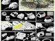    T-34/76 MOD.1943 w/COMMANDER CUPOLA NO.183 FACTORY (Dragon)