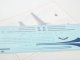     DC-10-30 ( )