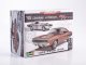     68 Dodge Charger (Revell)