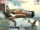    Curtiss Hawk H-75A-4 (AZmodel)