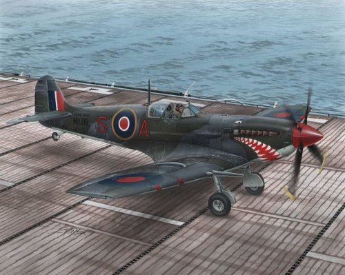 Supermarine Seafire Mk.II "Torch & Avalanche"