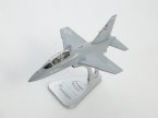    Alenia Aermacchi T-100