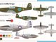       P-51B Mustang Foreign (AZmodel)