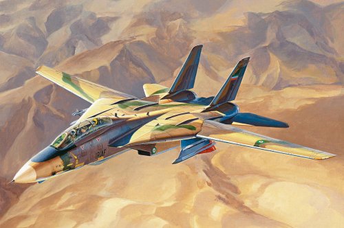 IRIAF Persian Cat F-14A Tomcat