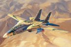 IRIAF Persian Cat F-14A Tomcat