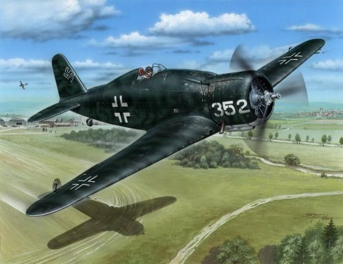 Fiat G.50bis "Luftwaffe and Croatian AF"