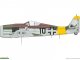    Fw 190A-8 (Eduard)