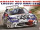    Peugeot 306 Maxi Evo2 Montecarlo 1999 (Beemax Model Kits)