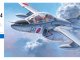    -    KAWASAKI T-4 &quot;J.A.S.D.F.&quot; (Hasegawa)