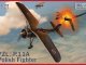      PZL P.11a (IBG Models)