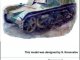        R33 (Zebrano)
