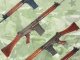    L1A1 SLR (Lithgow Mod) (Bravo 6)