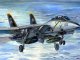     F-14B Tomcat (Bomb-cat) (Trumpeter)