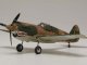     Curtiss Hawk 81-A-2 (Airfix)