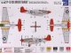     Curtiss Hawk 81-A-2 (Airfix)