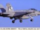    F/A-18E Super Hornet &#039;VFA-27 Royal Maces CAG (Hasegawa)