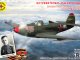     P-39Q &quot;&quot;.     .. ()