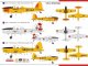       DHC-1 Chipmunk T.30 (AZmodel)