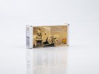  Imperial Russian Automobile Machine Gun Platoon Soldier on guard duty