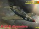    P-39 D Airacobra (RS Models)