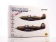    P-39D/P-400/MK-1   (Colibri Decals)