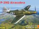    P-39Q Airacobra (RS Models)