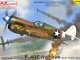    P-40E Warhawk 49.th FG (AZmodel)