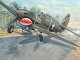    P-40F War Hawk (Trumpeter)