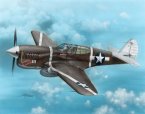 P-40F Warhawk "Guadalcanal Hawks"