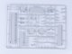     -2 IFV (Trumpeter)