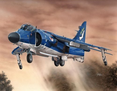 Sea Harrier FA.2 / reissue