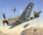 P-40 F Warhawk "Short Tails over Africa"