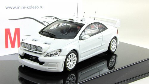  307 WRC 2005