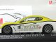      MC GT4-Necchi - Trofeo Granturismo MC - 2010 (Minichamps)