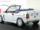      Integrale Cabriolet (Premium X)