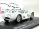     TIPO 61 -   (Minichamps)