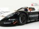     MC12 FLA GT1 Championship 2010 (Autoart)