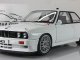     E30 M3 DTM PLAIN BODY VERSION (Autoart)